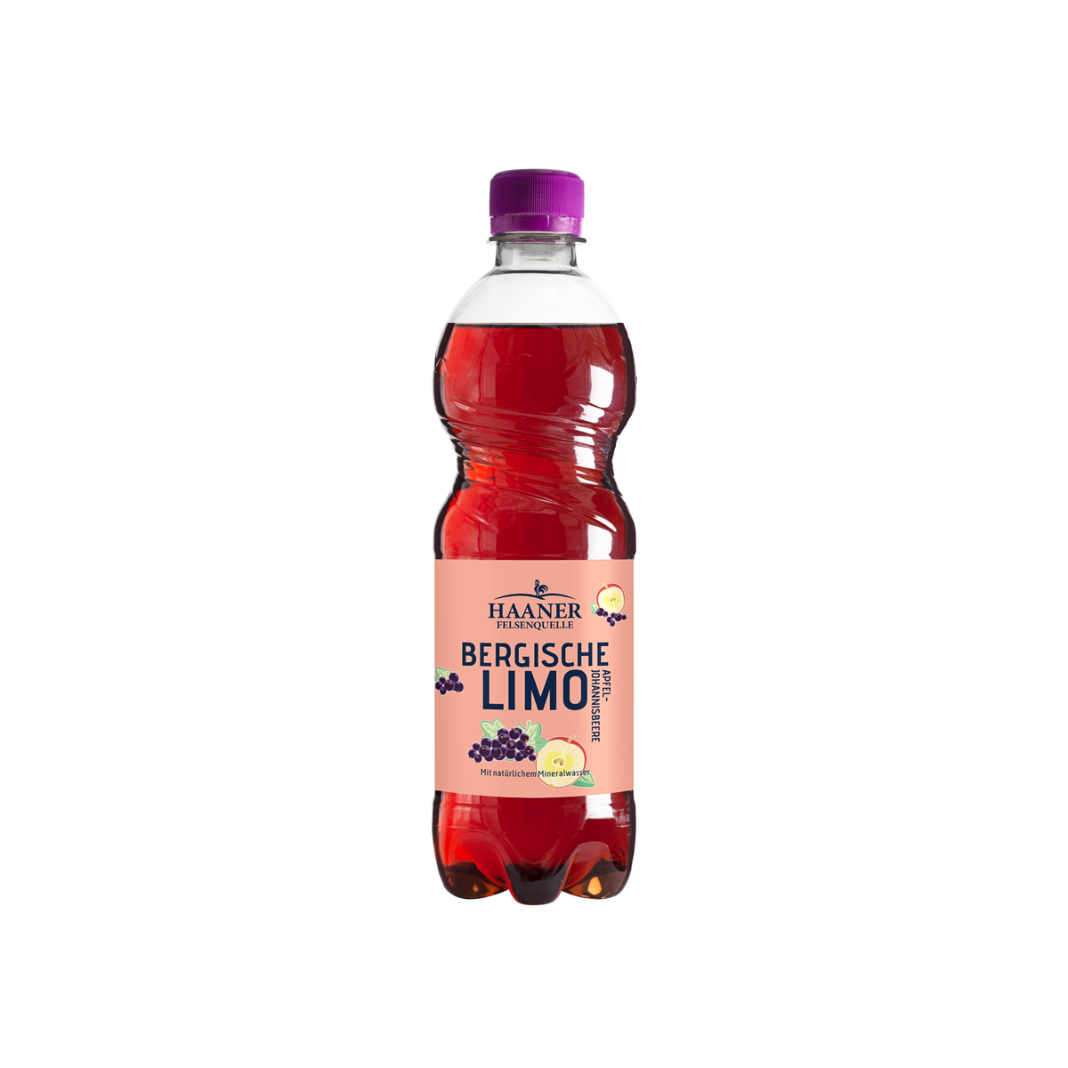 Haaner Felsenquelle Apfel-Johannisbeere 11x0,5l PET