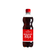 Haaner Felsenquelle Bergische Kola 11x0,5l PET