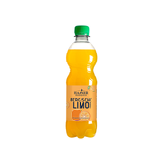 Haaner Felsenquelle Orange 11x0,5l PET