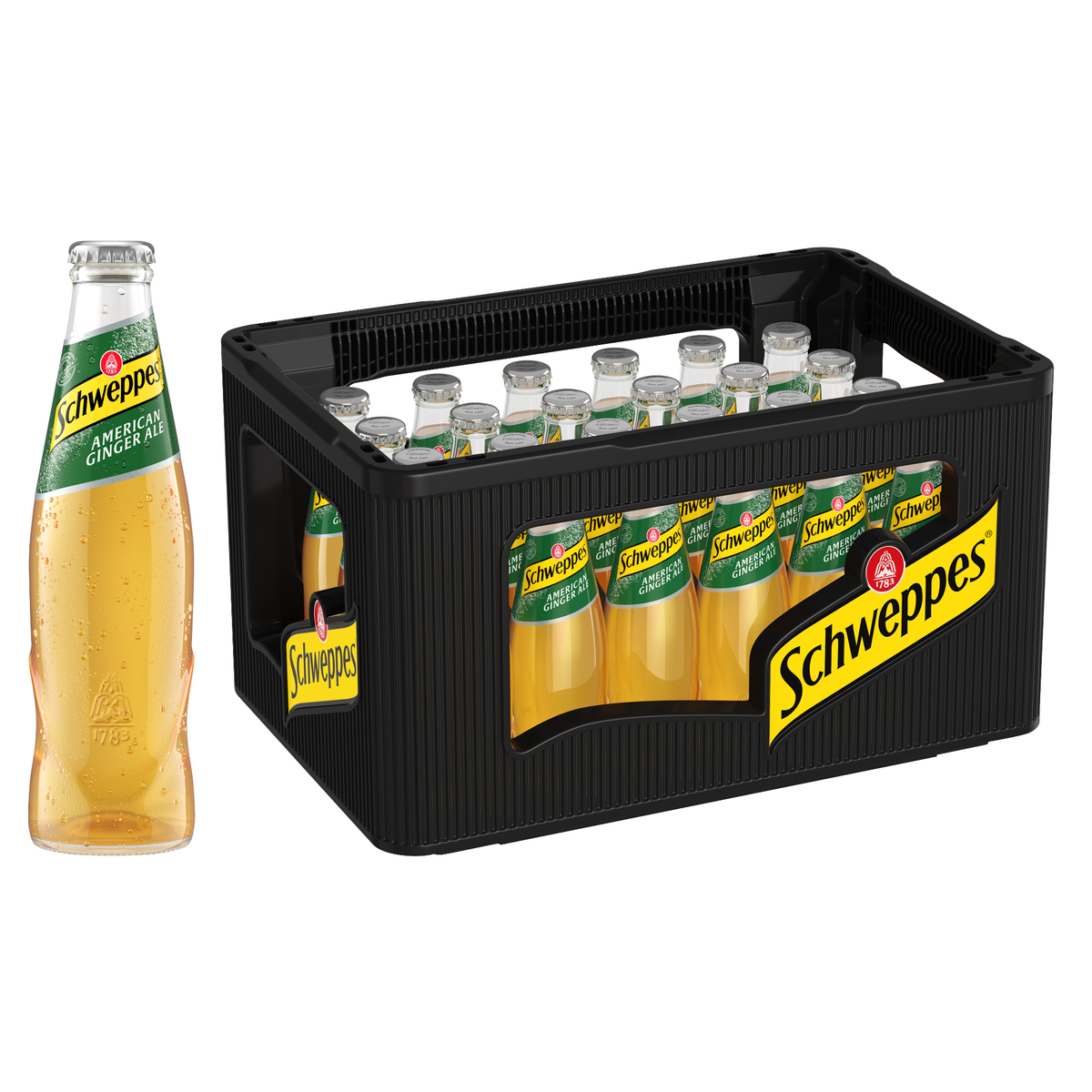 Schweppes Ginger Ale 24x0,2l Glas