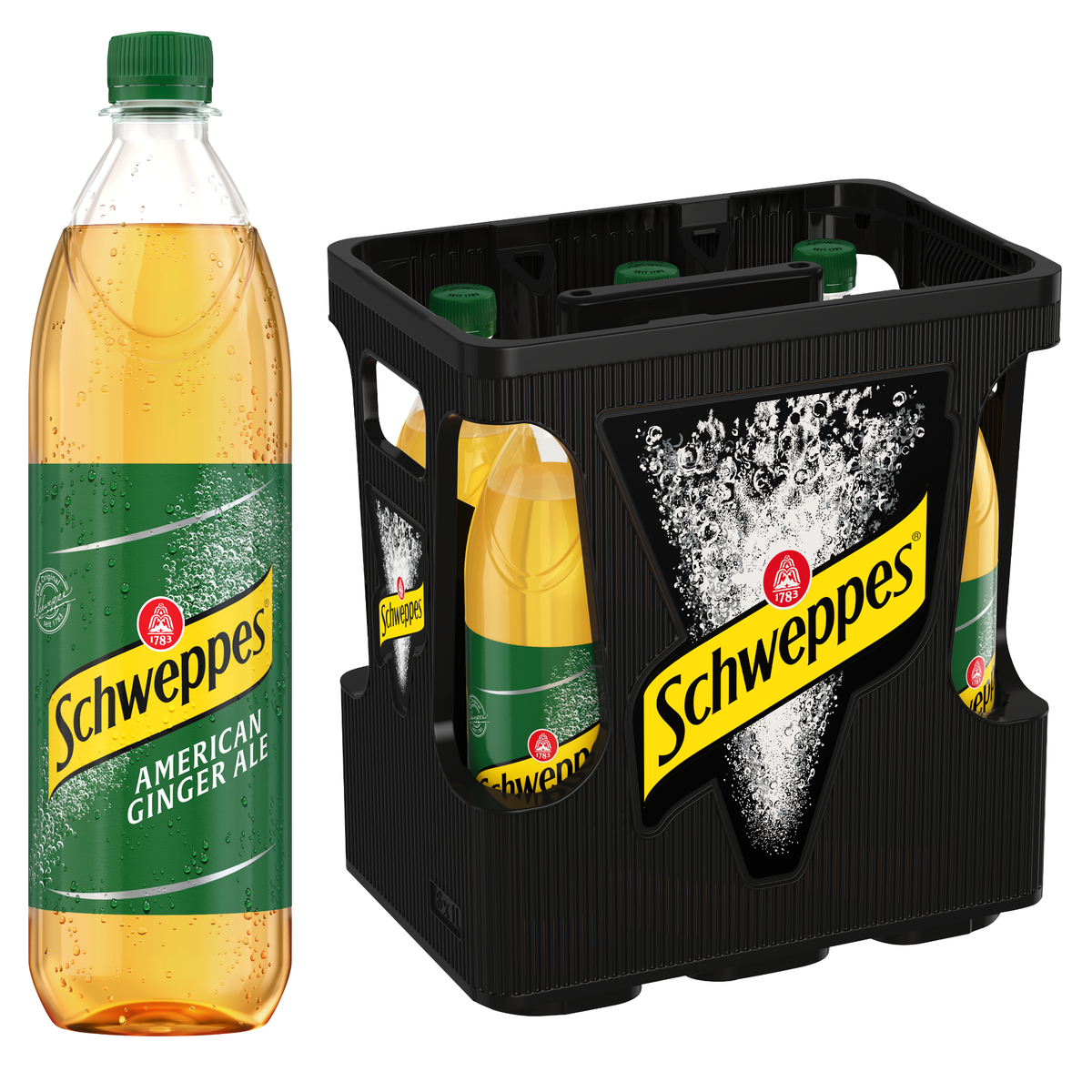 Schweppes Ginger Ale 6x1l PET